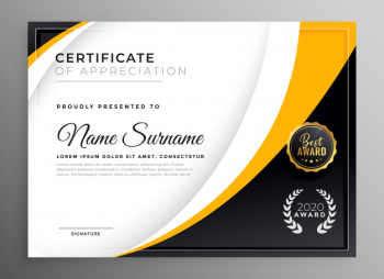 Professional certificate template diploma award design Professional certificate template diploma award design