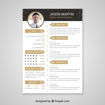 Professional curriculum vitae template