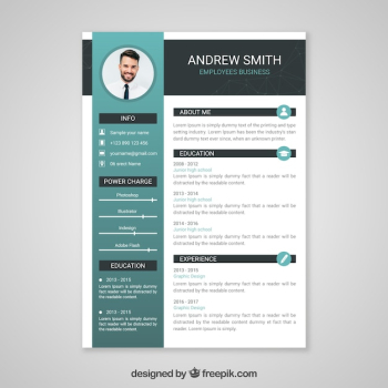 Professional curriculum vitae template