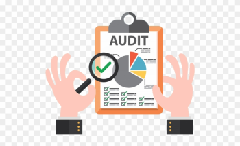 Professional Virtual Audit Services - Audit Illustration Professional Virtual Audit Services - Audit Illustration