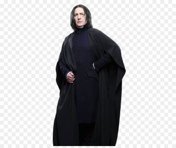 Professor Severus Snape Black png download - 426*750 - Free ...