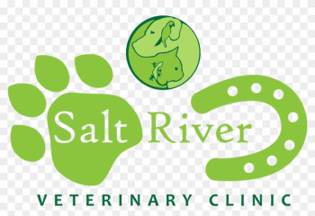 Providing Compassionate & Quality Medical - Vector Tree Providing Compassionate & Quality Medical - Vector Tree