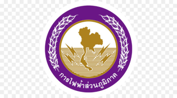 Provincial Electricity Authority Wang Noi District Metropolitan Electricity Authority Organization - pea 