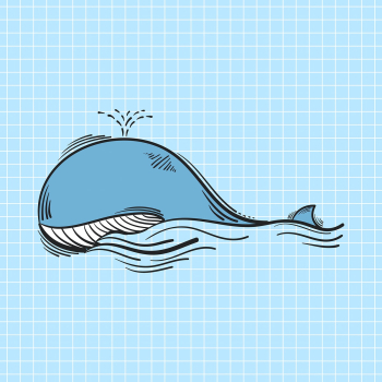 Psd whale doodle cartoon teen sticker Psd whale doodle cartoon teen sticker