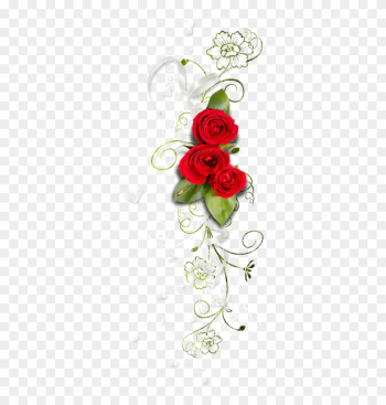 Publicat De Eu Ciresica La - Garden Roses Publicat De Eu Ciresica La - Garden Roses