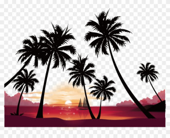 Puesta De Sol De Vídeo De Alta Definición De La Imagen - Palm Tree Sunset Background Puesta De Sol De Vídeo De Alta Definición De La Imagen - Palm Tree Sunset Background