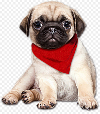 Pug English Mastiff Puppy - Cartoon hand painted red scarf dog png 