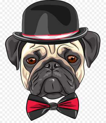 Pug, Puppy, Chihuahua, Dog PNG Pug, Puppy, Chihuahua, Dog PNG