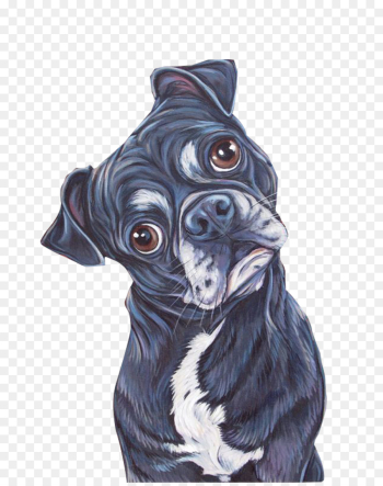 Pug, Puppy, Labrador Retriever, Dog, Canidae PNG Pug, Puppy, Labrador Retriever, Dog, Canidae PNG
