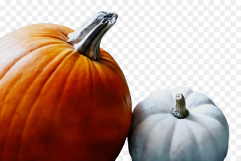 Pumpkin Pumpkin