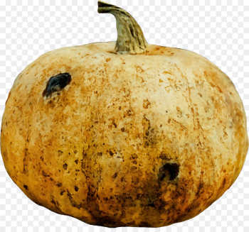 Pumpkin Pumpkin