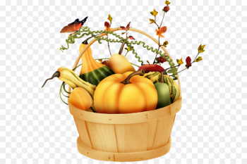 Pumpkin Pumpkin