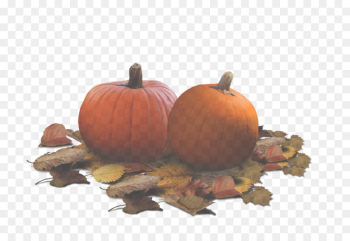 Pumpkin Pumpkin