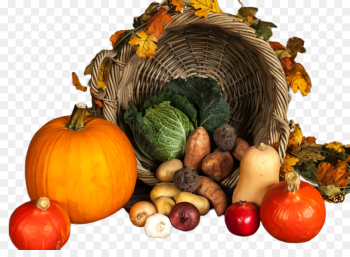 Pumpkin Pumpkin