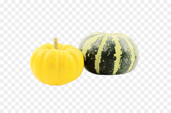 Pumpkin Pumpkin