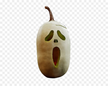 Pumpkin Pumpkin