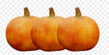 Pumpkin