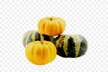 Pumpkin Pumpkin