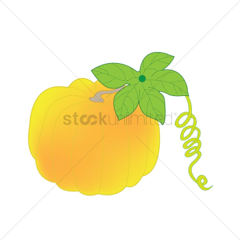 Pumpkin Pumpkin