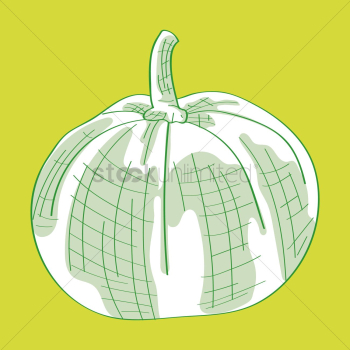 Pumpkin Pumpkin