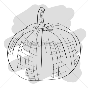 Pumpkin Pumpkin