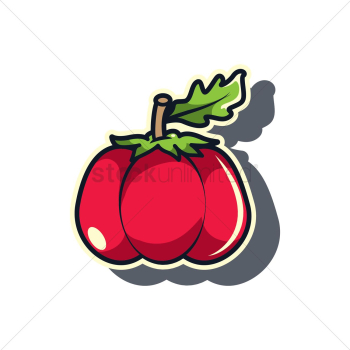 Pumpkin Pumpkin
