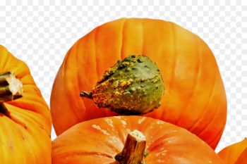 Pumpkin Pumpkin