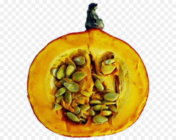 Pumpkin Pumpkin
