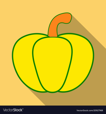 Pumpkin autumn halloween pumpkin vegetable vector image Pumpkin autumn halloween pumpkin vegetable vector image