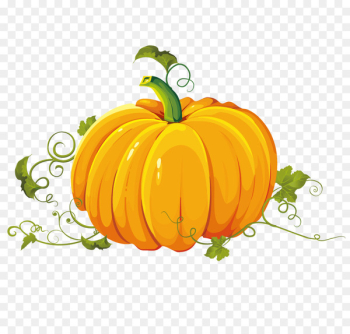 Pumpkin Autumn Harvest Clip art - Hand painted pumpkin Teng Pumpkin Autumn Harvest Clip art - Hand painted pumpkin Teng