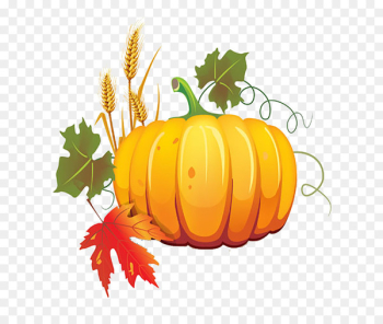 Pumpkin Autumn Harvest Fruit - pumpkin Pumpkin Autumn Harvest Fruit - pumpkin