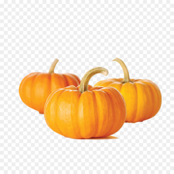 Pumpkin bread Muffin Pumpkin seed Vegetable - pumpkin Pumpkin bread Muffin Pumpkin seed Vegetable - pumpkin