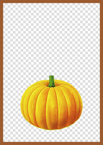 Pumpkin Calabaza Brown, Brown simple frame pumpkin border texture transparent background PNG clipart