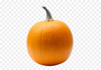Pumpkin Calabaza Cincinnati Reds Gourd - pumpkin Pumpkin Calabaza Cincinnati Reds Gourd - pumpkin