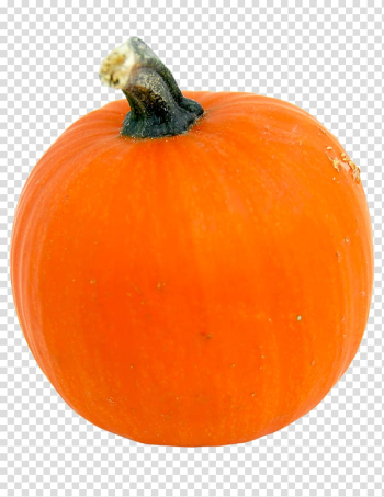 Pumpkin Calabaza Cucurbita Jack-o'-lantern Winter squash, sparrow transparent background PNG clipart