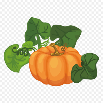 Pumpkin Calabaza Cucurbita maxima Gourd Illustration - pumpkin 