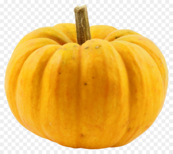 Pumpkin Calabaza Cucurbita - Pumpkin Pumpkin Calabaza Cucurbita - Pumpkin