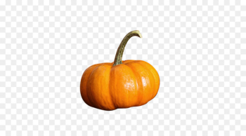 Pumpkin Calabaza Gourd Vegetable - pumpkin Pumpkin Calabaza Gourd Vegetable - pumpkin