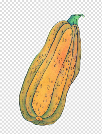 Pumpkin Calabaza Ink wash painting Jack-o-lantern Illustration, Hand painted pumpkin map transparent background PNG clipart