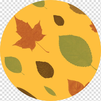 Pumpkin Calabaza, pumpkin transparent background PNG clipart Pumpkin Calabaza, pumpkin transparent background PNG clipart