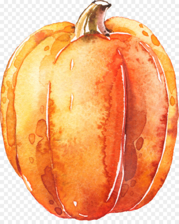 Pumpkin Calabaza Transparent Watercolor Halloween - pumpkin Pumpkin Calabaza Transparent Watercolor Halloween - pumpkin