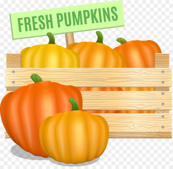 Pumpkin Calabaza Winter squash Vegetable - pumpkin Pumpkin Calabaza Winter squash Vegetable - pumpkin