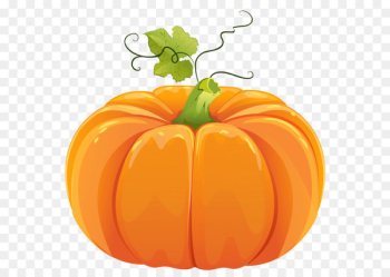 Pumpkin Clip art - Autumn Pumpkin PNG Clipart Pumpkin Clip art - Autumn Pumpkin PNG Clipart