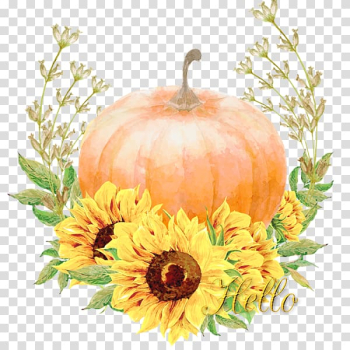 Pumpkin Cucurbita pepo var. giromontiina Zucchini Gourd, pumpkin transparent background PNG clipart