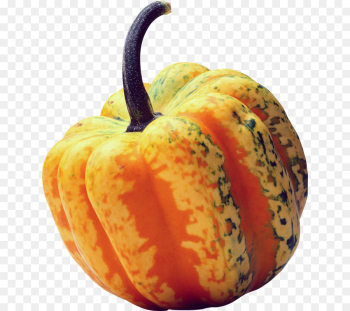 Pumpkin, Cucurbits, Gourd, Calabaza, Vegetable PNG Pumpkin, Cucurbits, Gourd, Calabaza, Vegetable PNG