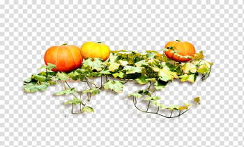 Pumpkin Food, pumpkin transparent background PNG clipart Pumpkin Food, pumpkin transparent background PNG clipart