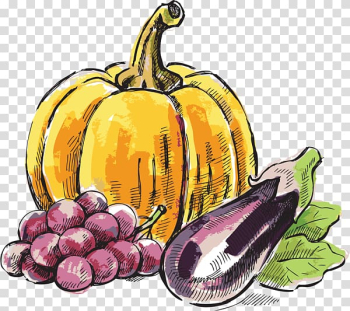 Pumpkin Grape , pumpkin transparent background PNG clipart Pumpkin Grape , pumpkin transparent background PNG clipart
