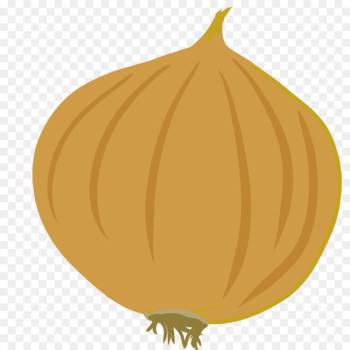 Pumpkin Onion Calabaza Vegetable Winter squash - pumpkin Pumpkin Onion Calabaza Vegetable Winter squash - pumpkin