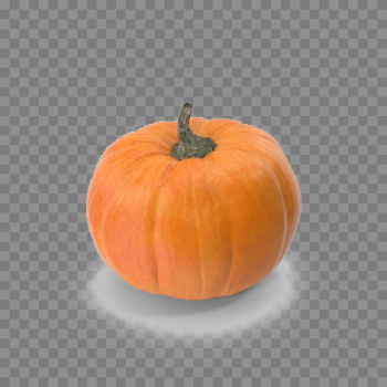 Pumpkin Patch Background PNG | PNG Mart