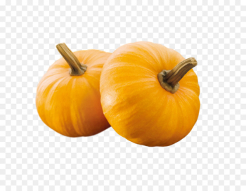 Pumpkin pie Calabaza Gourd Winter squash - pumpkin Pumpkin pie Calabaza Gourd Winter squash - pumpkin